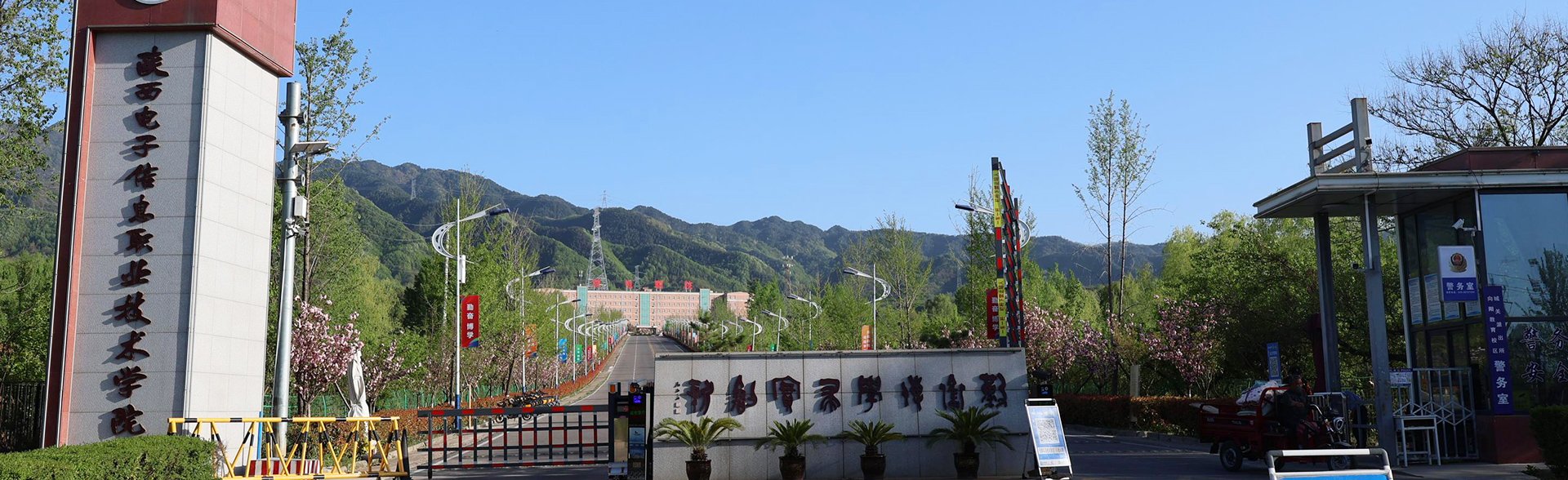710500 | 不良信息举报